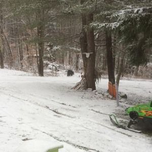 Meet your Posher, Ann